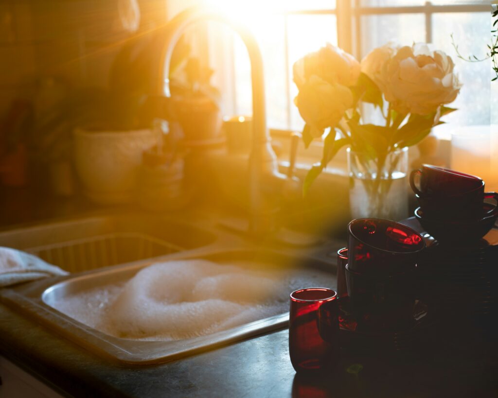 best eco friendly dish soap
