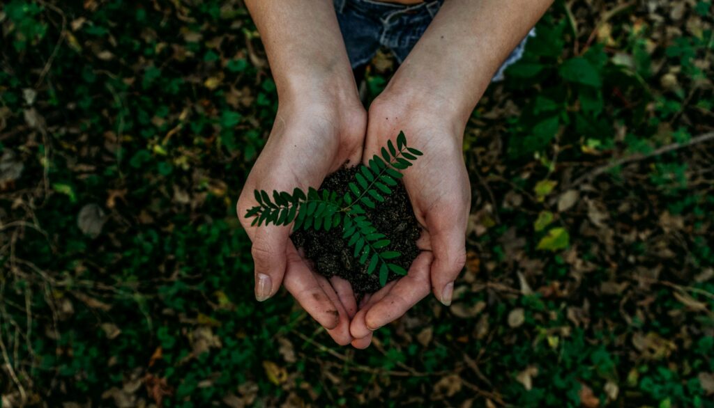 zero waste starter kit 2026